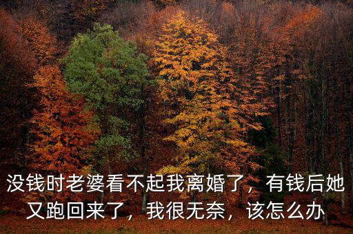沒錢時老婆看不起我離婚了，有錢后她又跑回來了，我很無奈，該怎么辦