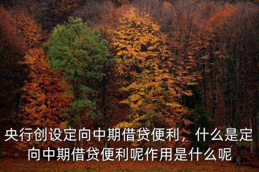 央行創(chuàng)設(shè)定向中期借貸便利，什么是定向中期借貸便利呢作用是什么呢
