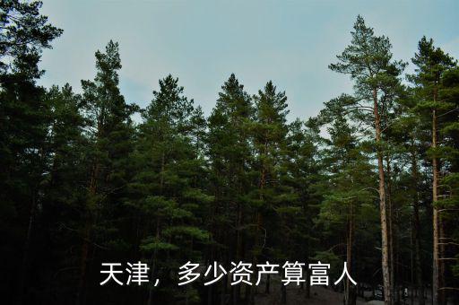 天津，多少資產(chǎn)算富人