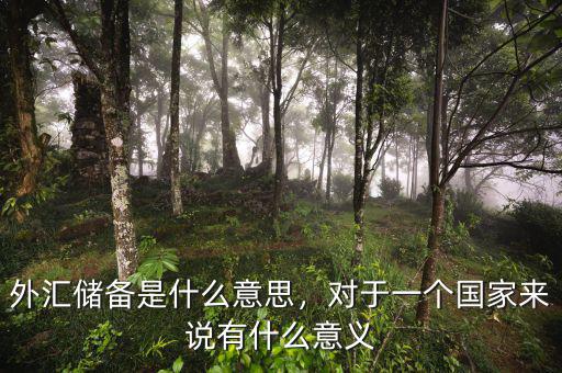 外匯儲備是什么意思，對于一個國家來說有什么意義