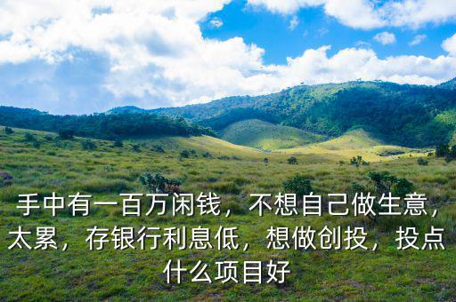 手中有一百萬閑錢，不想自己做生意，太累，存銀行利息低，想做創(chuàng)投，投點什么項目好