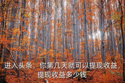 進(jìn)入頭條，你第幾天就可以提現(xiàn)收益，提現(xiàn)收益多少錢