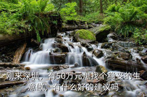 剛來(lái)深圳，有50萬(wàn)元想找個(gè)穩(wěn)妥的生意做，有什么好的建議嗎
