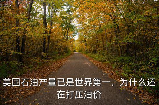 美國石油產(chǎn)量已是世界第一，為什么還在打壓油價