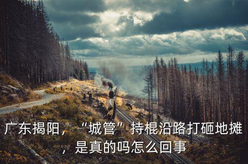 廣東揭陽，“城管”持棍沿路打砸地攤，是真的嗎怎么回事
