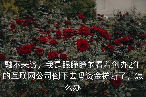 融不來資，我是眼睜睜的看著創(chuàng)辦2年的互聯(lián)網(wǎng)公司倒下去嗎資金鏈斷了，怎么辦