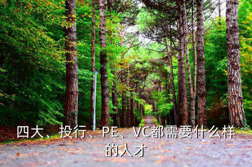四大、投行、PE、VC都需要什么樣的人才