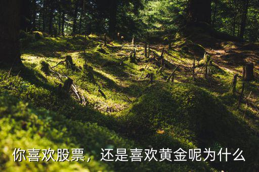 你喜歡股票，還是喜歡黃金呢為什么