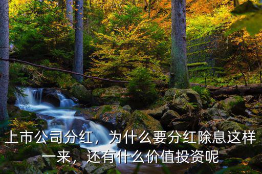 上市公司分紅，為什么要分紅除息這樣一來，還有什么價值投資呢