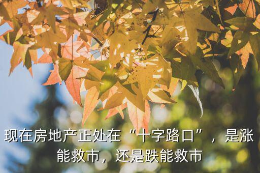 現(xiàn)在房地產(chǎn)正處在“十字路口”，是漲能救市，還是跌能救市