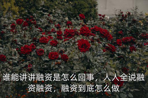 誰能講講融資是怎么回事，人人全說融資融資，融資到底怎么做