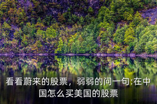 看看蔚來(lái)的股票，弱弱的問(wèn)一句:在中國(guó)怎么買(mǎi)美國(guó)的股票