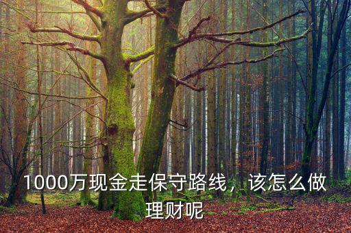 1000萬現(xiàn)金走保守路線，該怎么做理財呢