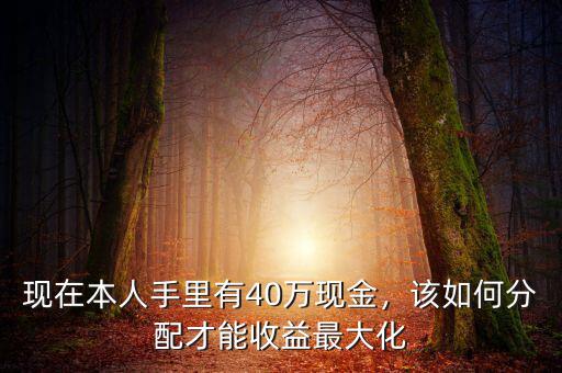 現(xiàn)在本人手里有40萬現(xiàn)金，該如何分配才能收益最大化