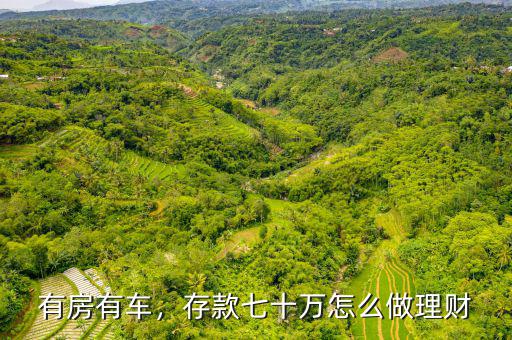 有房有車，存款七十萬怎么做理財(cái)