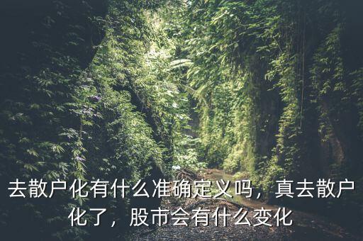 去散戶化有什么準(zhǔn)確定義嗎，真去散戶化了，股市會有什么變化