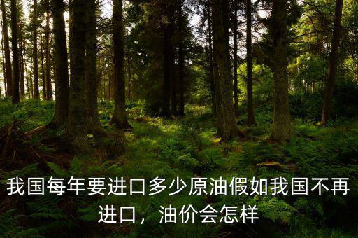 我國(guó)每年要進(jìn)口多少原油假如我國(guó)不再進(jìn)口，油價(jià)會(huì)怎樣