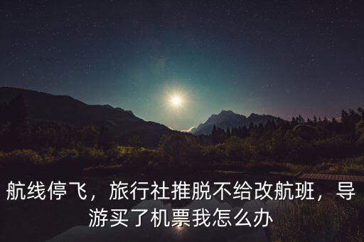 航線停飛，旅行社推脫不給改航班，導(dǎo)游買了機(jī)票我怎么辦