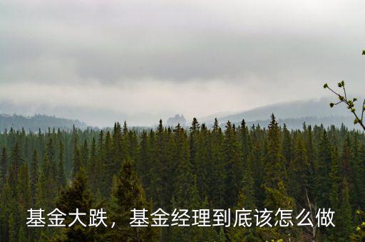 基金大跌，基金經(jīng)理到底該怎么做