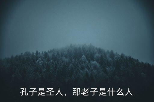 孔子是圣人，那老子是什么人