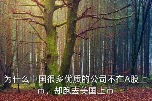 為什么中國(guó)很多優(yōu)質(zhì)的公司不在A股上市，卻跑去美國(guó)上市