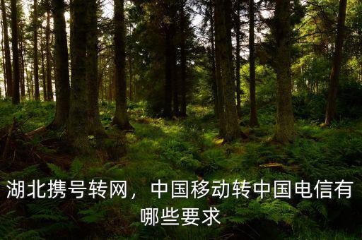 湖北攜號轉(zhuǎn)網(wǎng)，中國移動轉(zhuǎn)中國電信有哪些要求