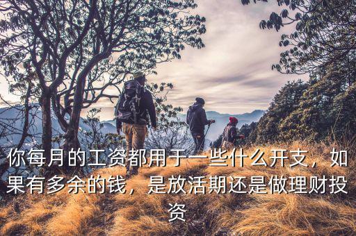 你每月的工資都用于一些什么開支，如果有多余的錢，是放活期還是做理財投資