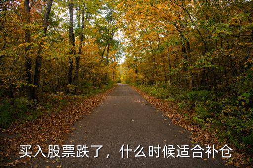 買入股票跌了，什么時候適合補(bǔ)倉