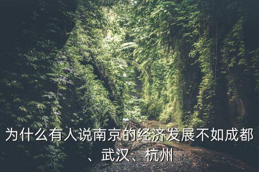 為什么有人說南京的經(jīng)濟(jì)發(fā)展不如成都、武漢、杭州