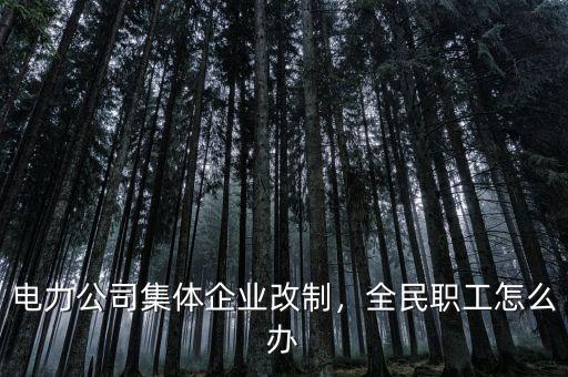 電力公司集體企業(yè)改制，全民職工怎么辦