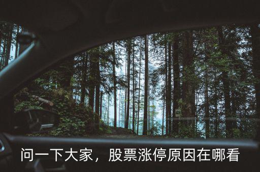 問(wèn)一下大家，股票漲停原因在哪看