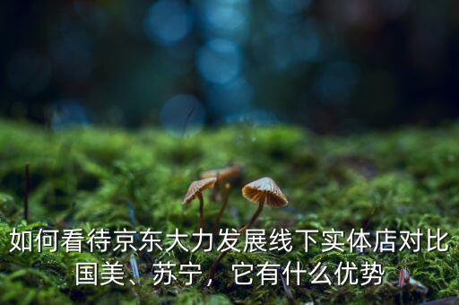 如何看待京東大力發(fā)展線下實(shí)體店對(duì)比國(guó)美、蘇寧，它有什么優(yōu)勢(shì)