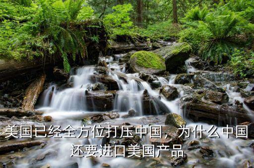 美國(guó)已經(jīng)全方位打壓中國(guó)，為什么中國(guó)還要進(jìn)口美國(guó)產(chǎn)品