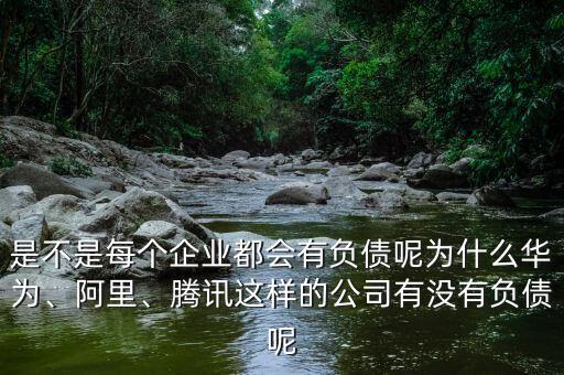 是不是每個企業(yè)都會有負債呢為什么華為、阿里、騰訊這樣的公司有沒有負債呢