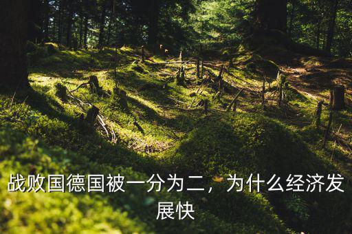 戰(zhàn)敗國德國被一分為二，為什么經(jīng)濟發(fā)展快