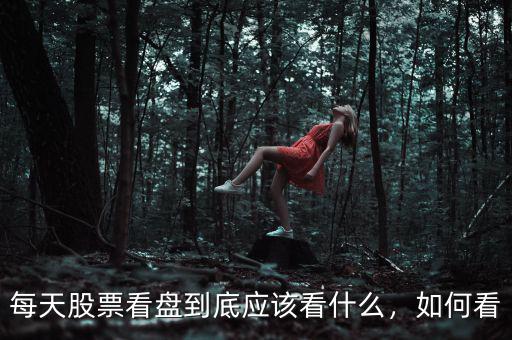 每天股票看盤到底應(yīng)該看什么，如何看