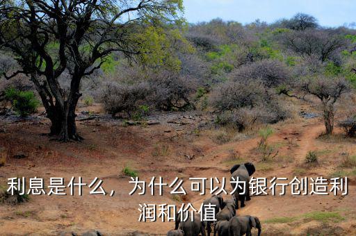 利息是什么，為什么可以為銀行創(chuàng)造利潤(rùn)和價(jià)值