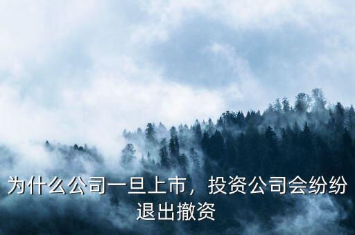 為什么公司一旦上市，投資公司會(huì)紛紛退出撤資