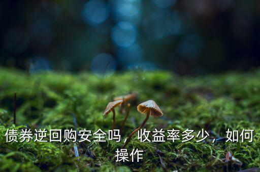 債券逆回購安全嗎，收益率多少，如何操作