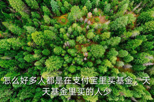 怎么好多人都是在支付寶里買基金，天天基金里買的人少