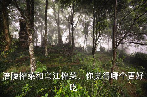 涪陵榨菜和烏江榨菜，你覺得哪個(gè)更好吃