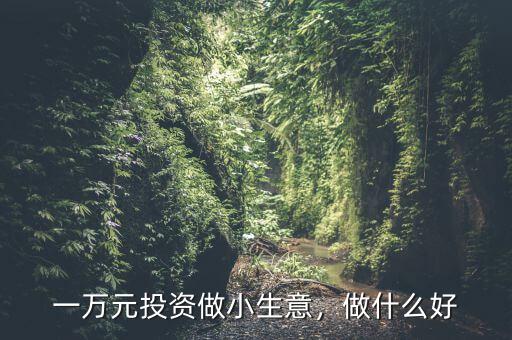 一萬元投資做小生意，做什么好
