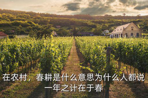 在農(nóng)村，春耕是什么意思為什么人都說一年之計在于春