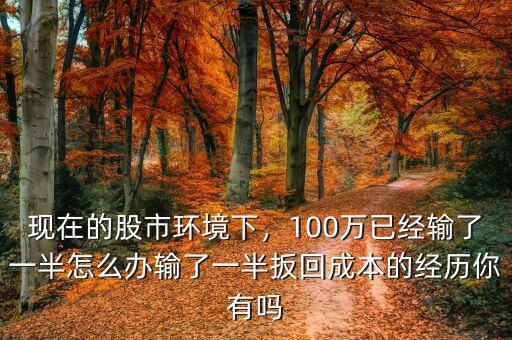 現(xiàn)在的股市環(huán)境下，100萬(wàn)已經(jīng)輸了一半怎么辦輸了一半扳回成本的經(jīng)歷你有嗎