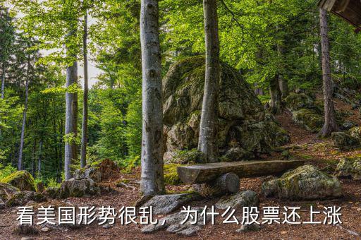 看美國形勢很亂，為什么股票還上漲