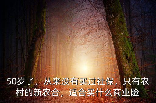 50歲了，從來沒有買過社保，只有農(nóng)村的新農(nóng)合，適合買什么商業(yè)險(xiǎn)