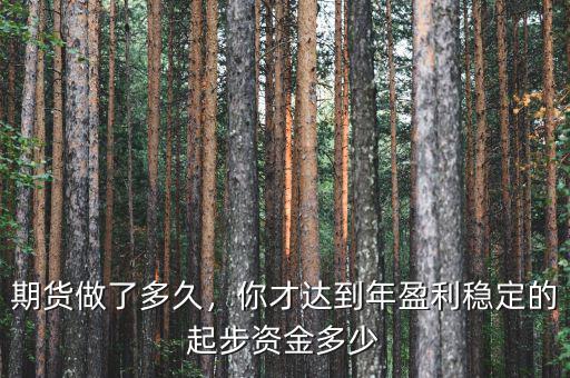 期貨做了多久，你才達到年盈利穩(wěn)定的起步資金多少