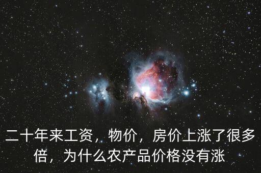 二十年來(lái)工資，物價(jià)，房?jī)r(jià)上漲了很多倍，為什么農(nóng)產(chǎn)品價(jià)格沒(méi)有漲