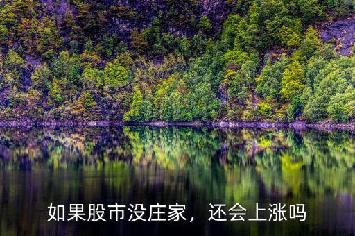 如果股市沒莊家，還會(huì)上漲嗎