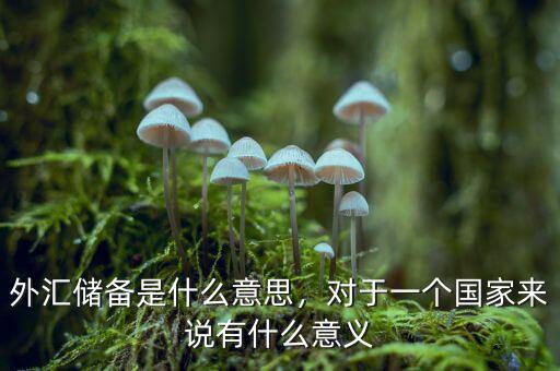 外匯儲(chǔ)備是什么意思，對(duì)于一個(gè)國(guó)家來(lái)說(shuō)有什么意義